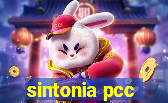 sintonia pcc